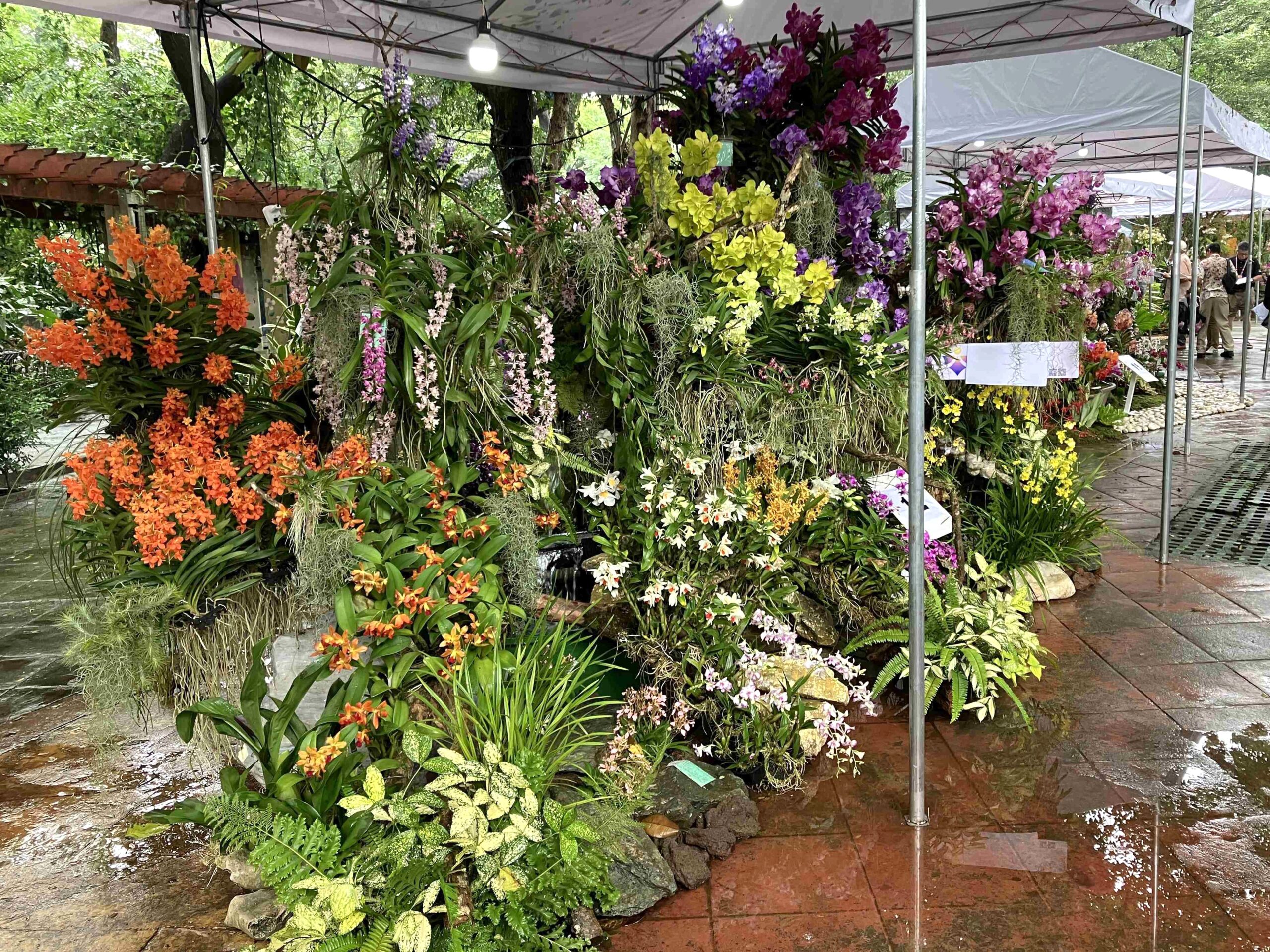 Flora Filipina Expo 2026 フィリピンで開催された蘭展 ご紹介 | 沖縄