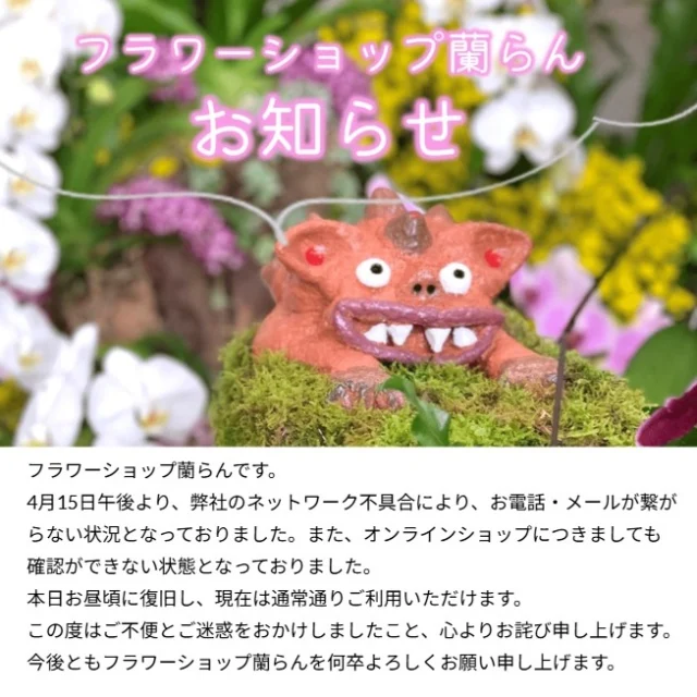 沖縄熱帯植物管理株式会社｜蘭専門店「フラワーショップ 蘭らん」