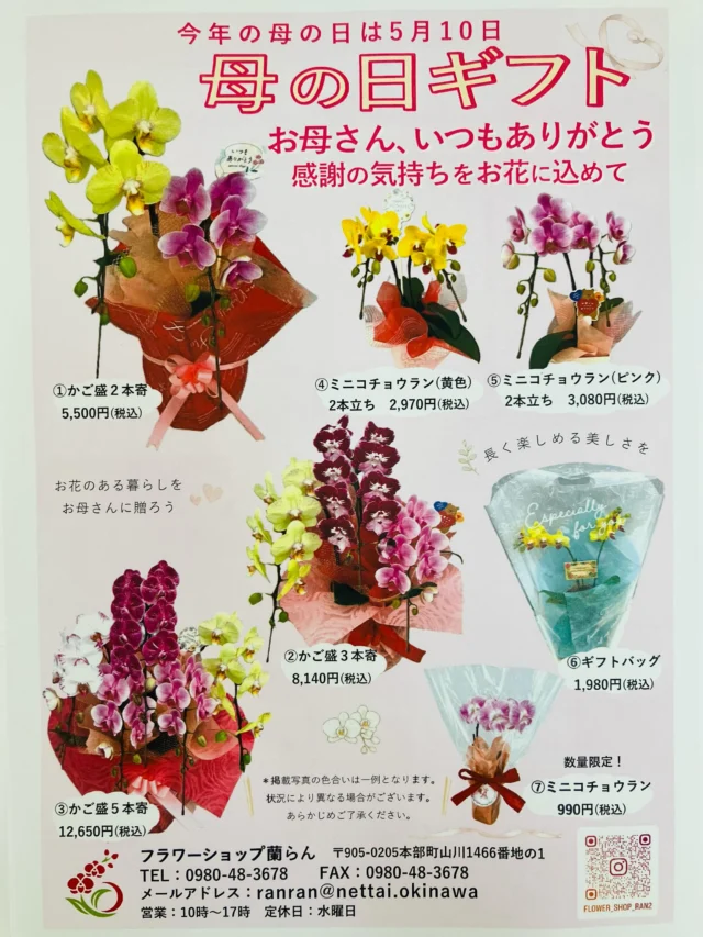 ネオベンサミア グラキリス Neobenthamia gracilis | 沖縄熱帯植物管理